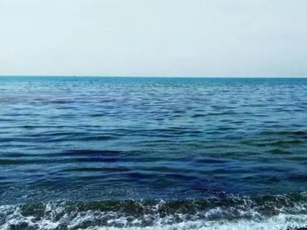 日本核廢水將排海-影響何以估量？